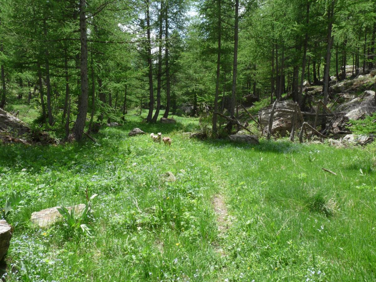Les Marmottes D Estenc Buitenkant foto